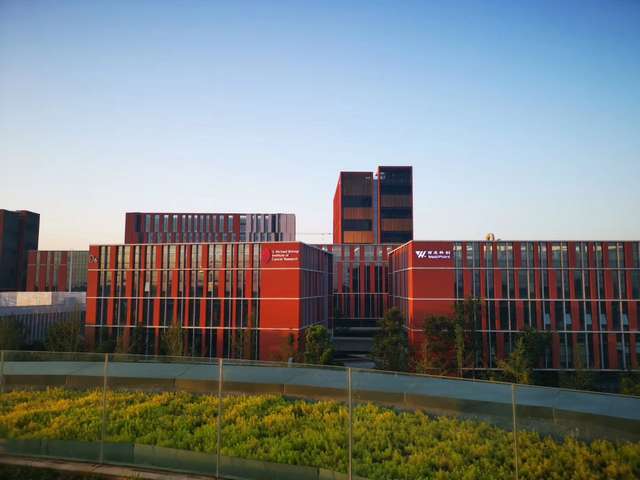 珠海哪里有艺术家服务推荐咨询